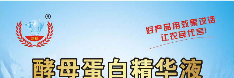jiaomuye-767x258